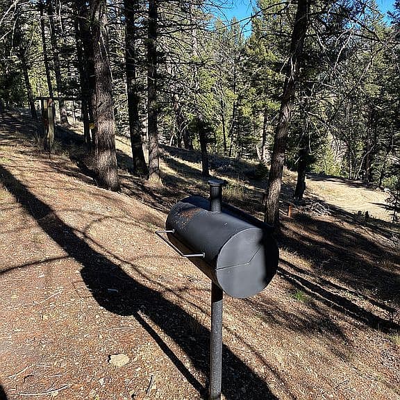 12 Elk Summit Way photo 4