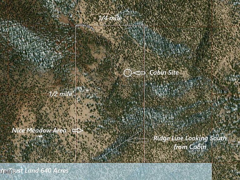 15508 Heaven Scent #477 photo 3