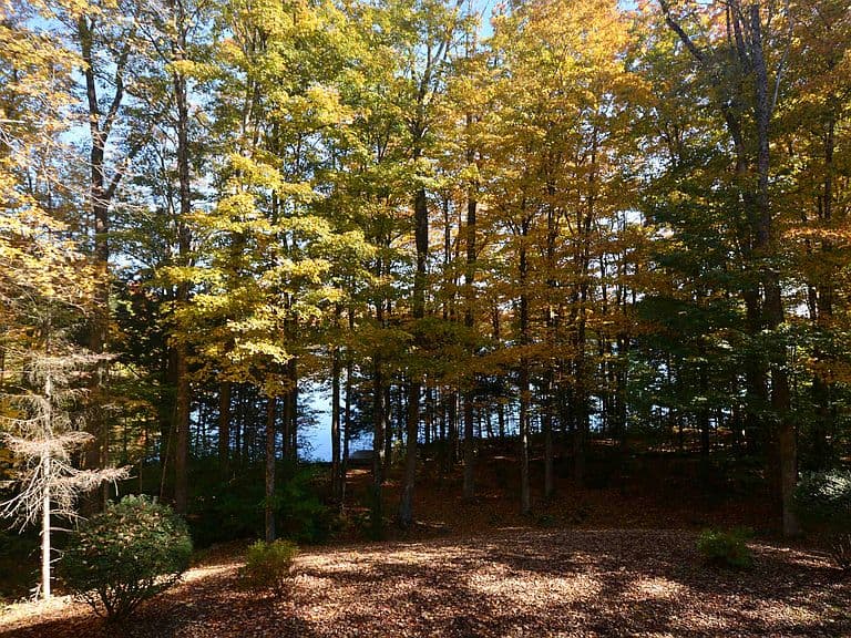 15 Shore Road photo 4