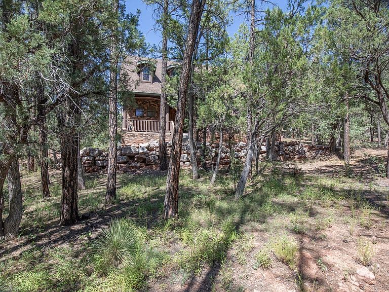 243 N Wild Oak Dr photo 3