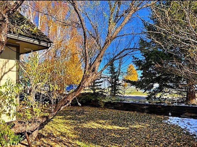 6 Laird St photo 4