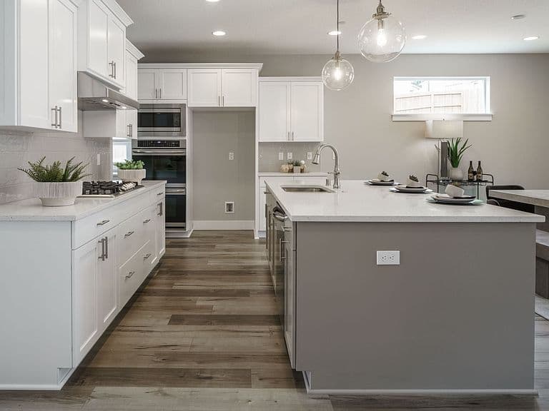 The Hemlock Plan, Sagarra at Orchard Park photo 4