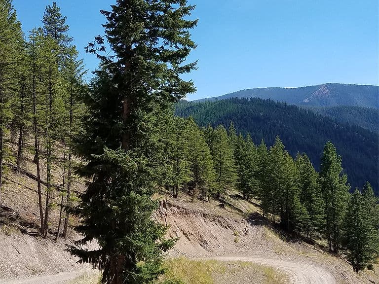 2200 Petty Creek Rd photo 5