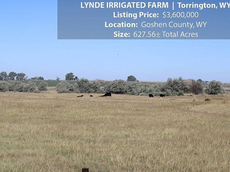 4815 Road 59 photo 2
