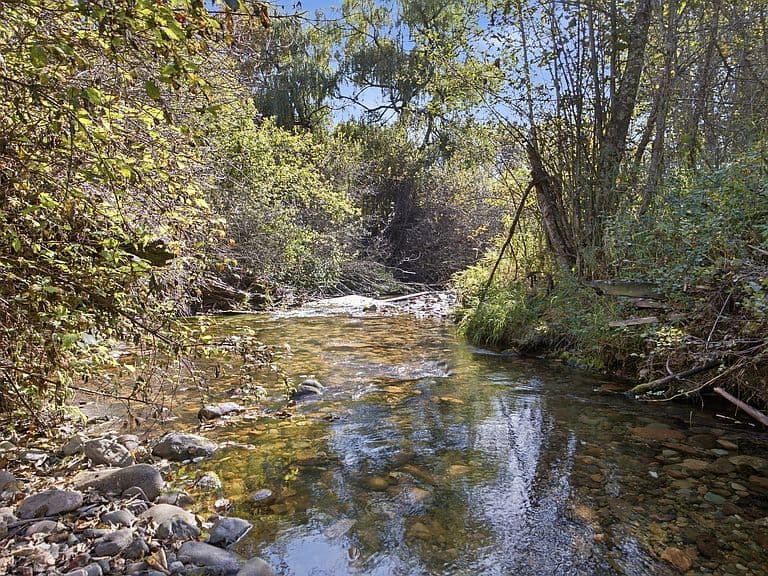 7755 Grant Creek Rd photo 5