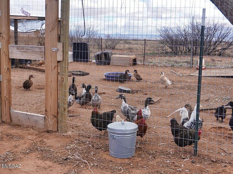 13126 S Brewery Gulch Rd photo 5