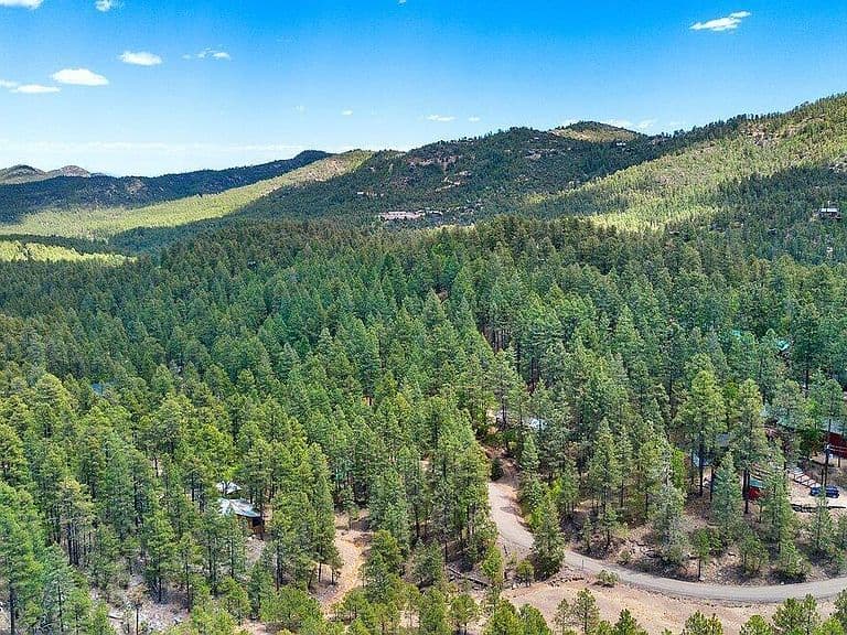 3697 E Mary May Ln photo 3