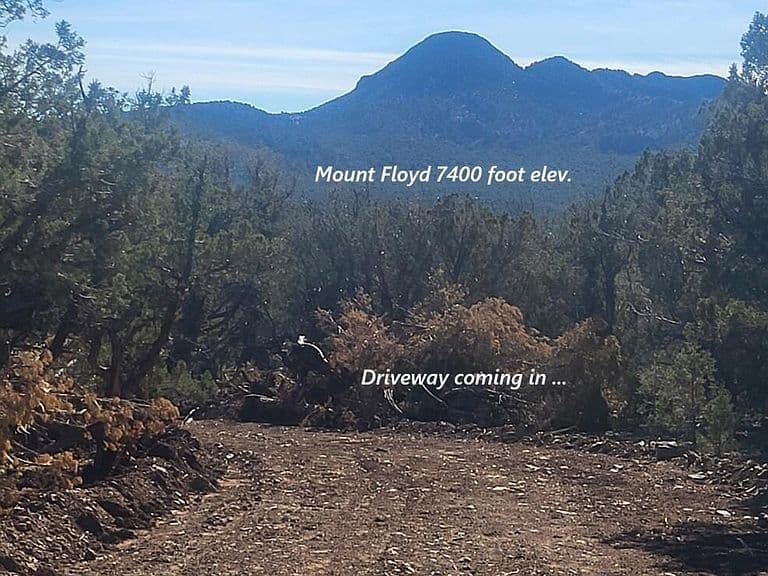 15508 Heaven Scent #477 photo 5