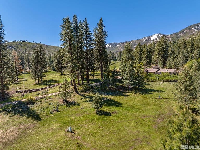 6995 Franktown Rd photo 3