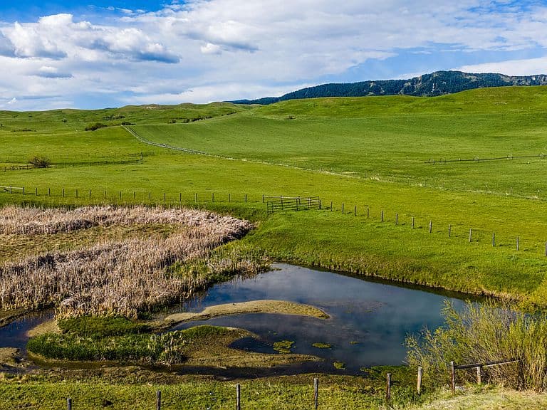 3614 Highway 87 photo 4
