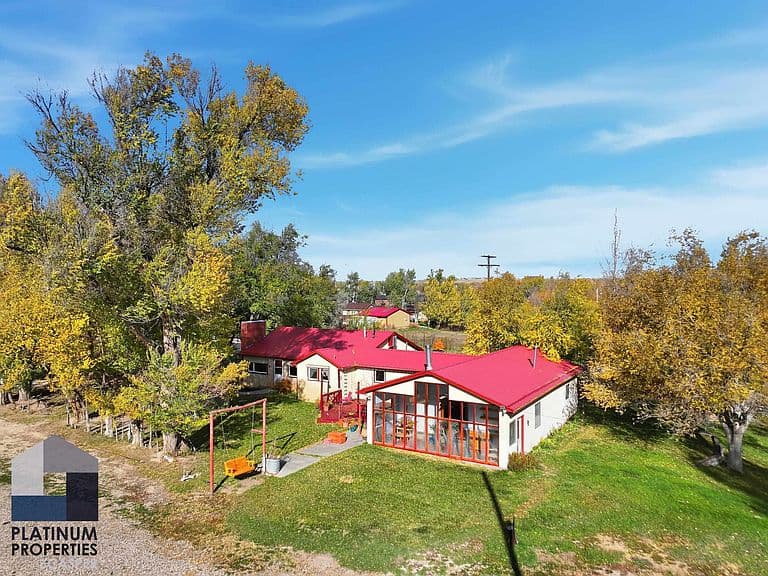 321 Lily St photo 4