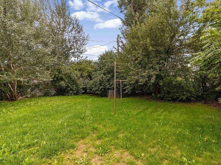 4109 Timothy St photo 5