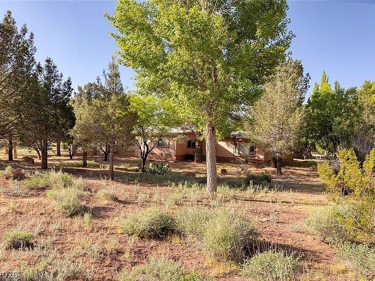 14525 Heyer Way photo 5