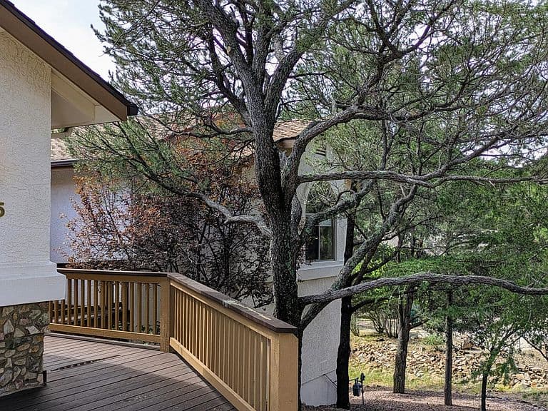 4885 Antelope Dr photo 2