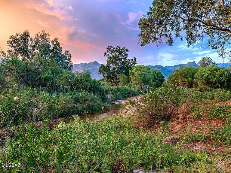 4101 N Bear Canyon Rd photo 3