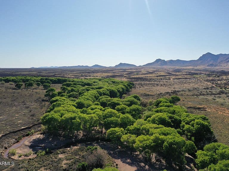 Battle Of The Bulls Rec Cp #B photo 4