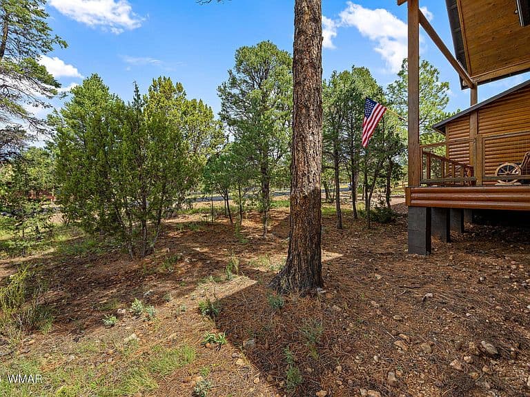 2975 Lookout Ln photo 4