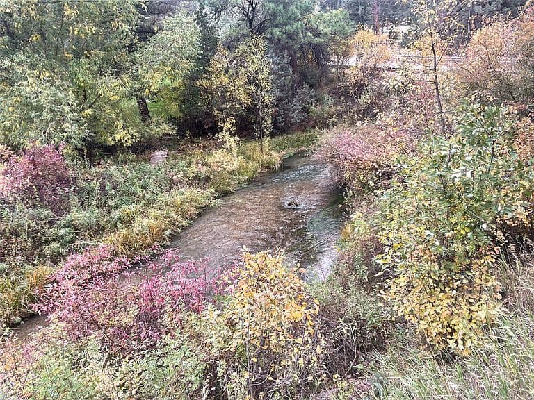 7300 Trout Creek Rd photo 5