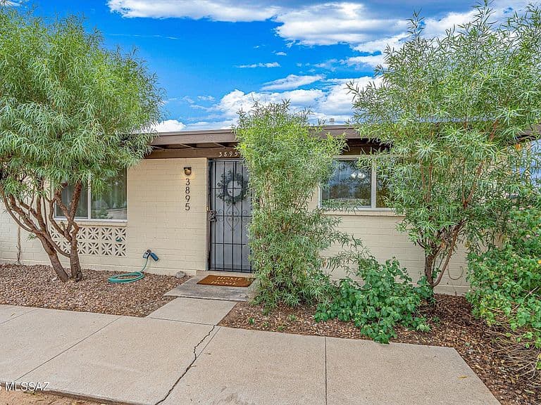 3895 S Queen Palm Dr photo 2