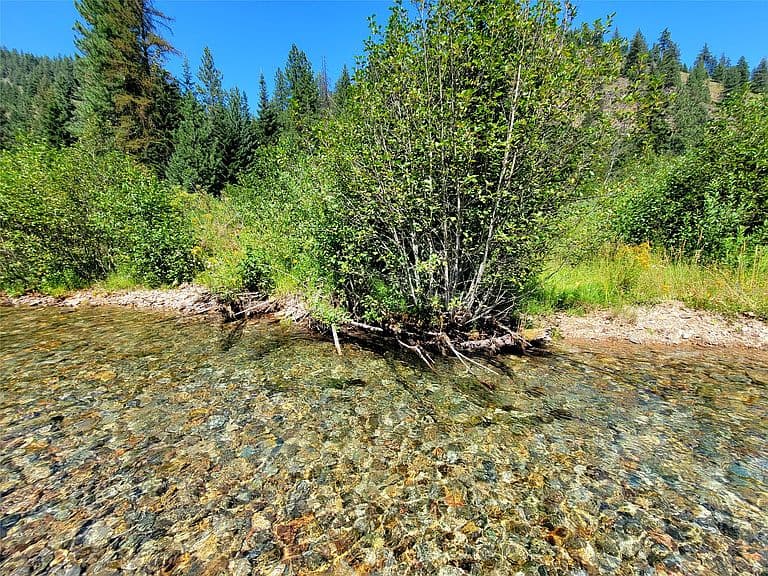402 Whitepine Creek Rd photo 3
