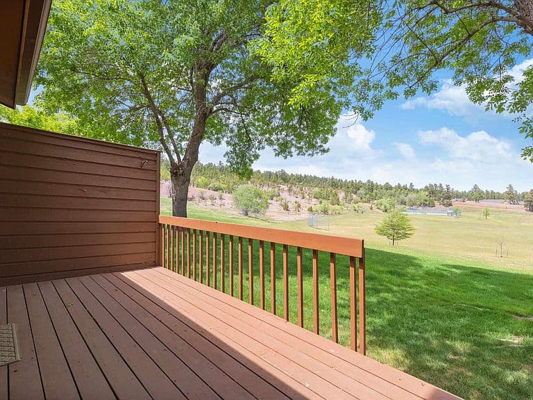 4834 Mountain Springs Ct photo 3