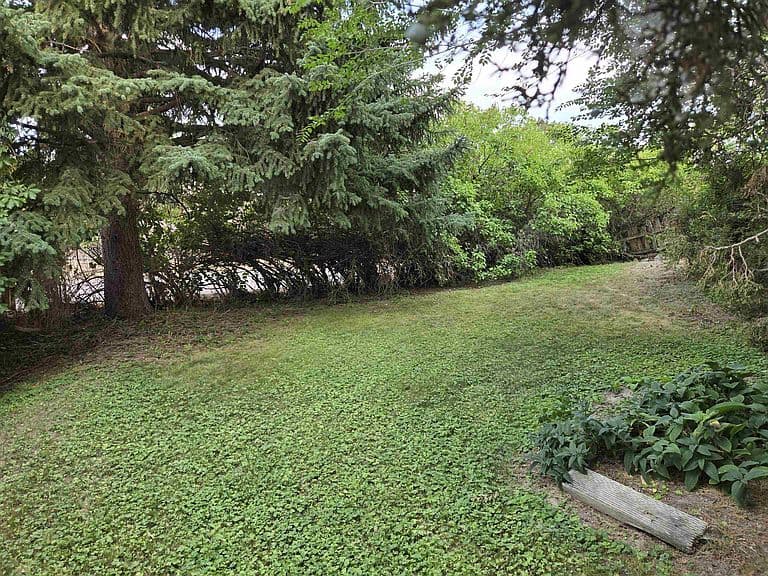 1800 Monte Vista Dr photo 5