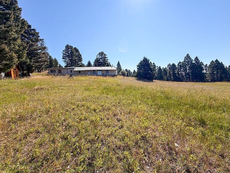 15081 Hoover Creek Rd photo 2
