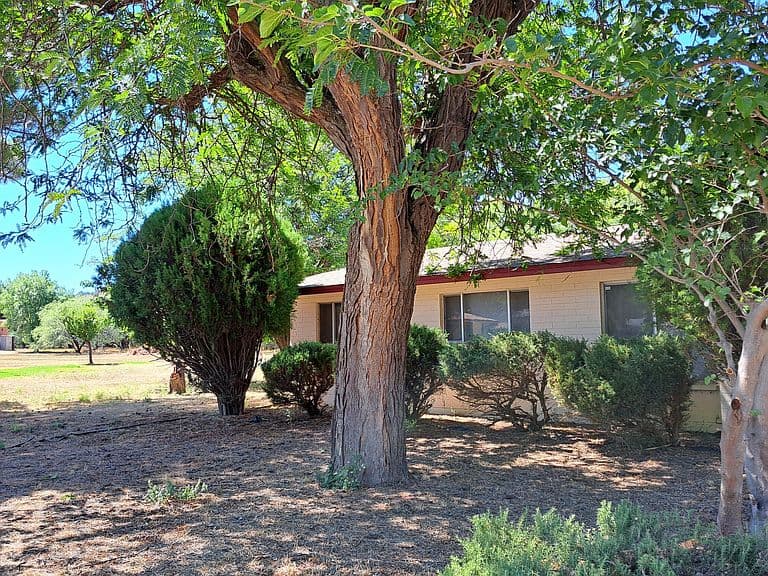 3647 E SYCAMORE Lane photo 3