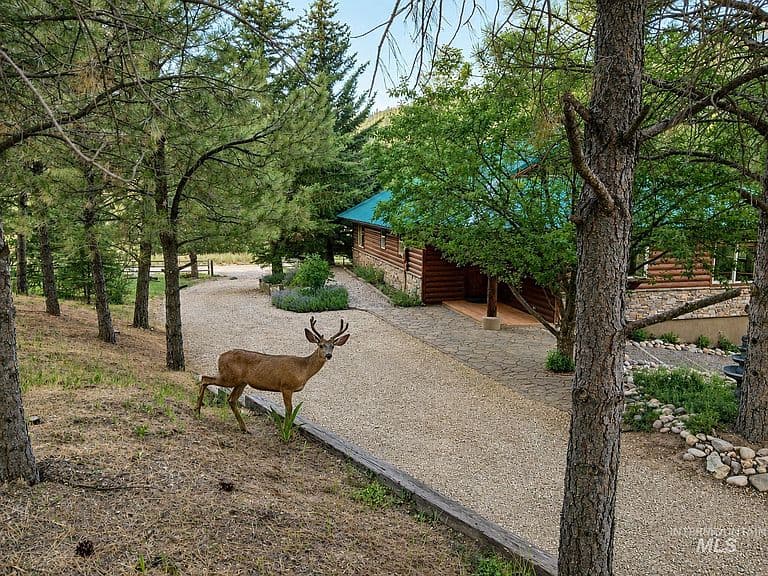 67 Wilderness Ranch Rd photo 5
