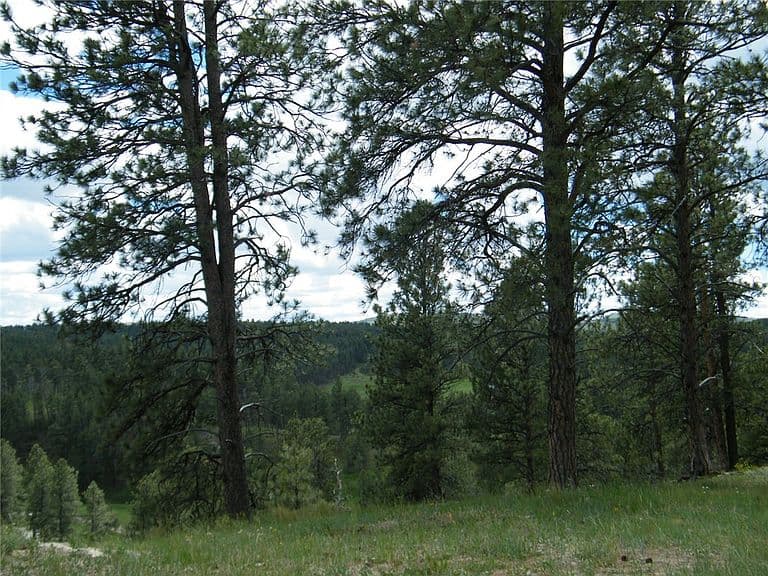 448 W Parrot Creek Rd photo 4