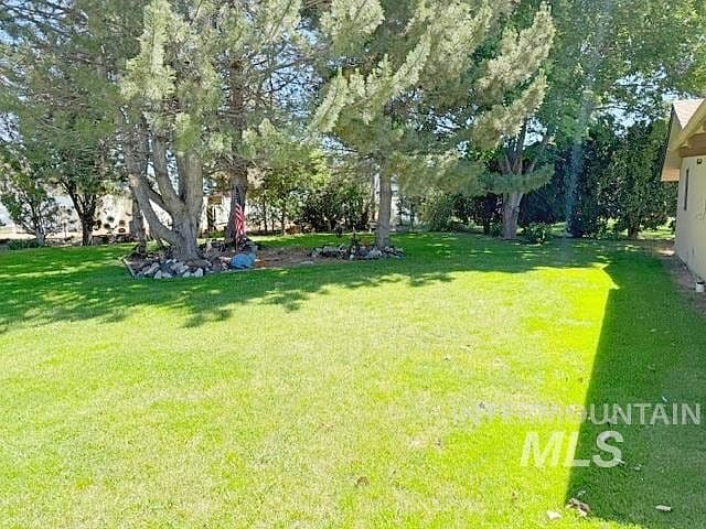 8862 Ponderosa Dr photo 3