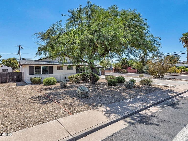 3001 E CHOLLA Street photo 2
