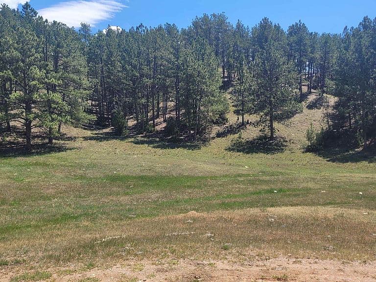 10251 Valley Rd photo 4
