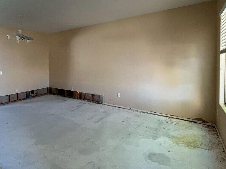 46157 W HOLLY Drive photo 4