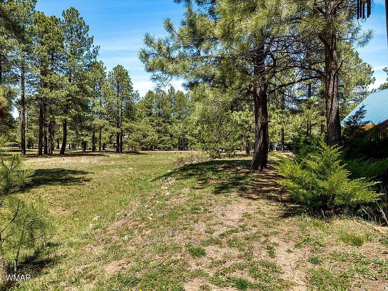 1320 Elk Dr photo 4