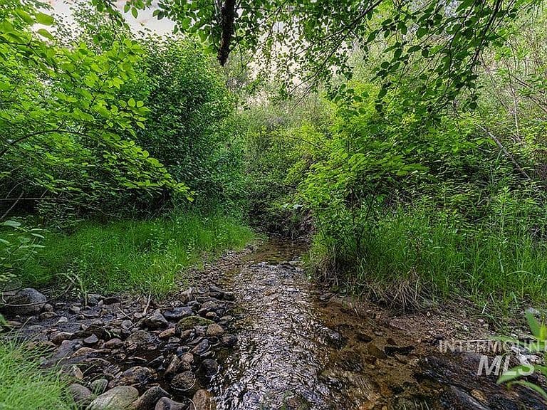 67 Wilderness Ranch Rd photo 5