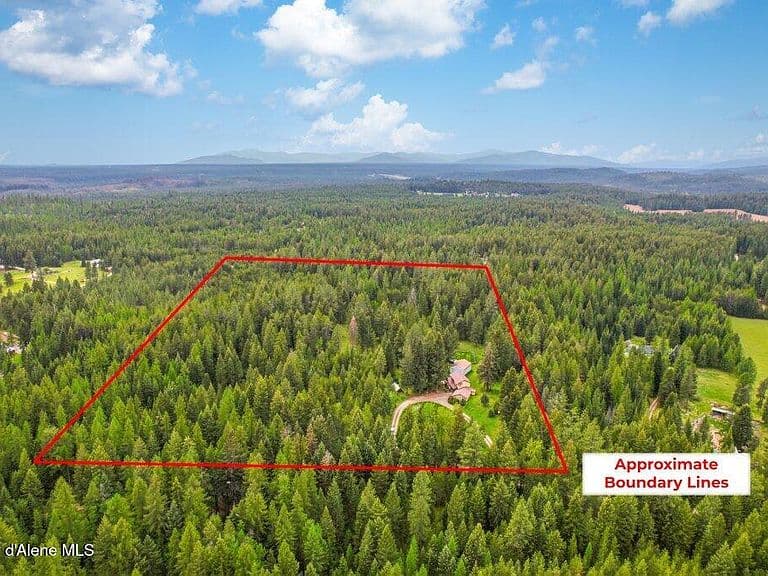 457 Lodgepole photo 4