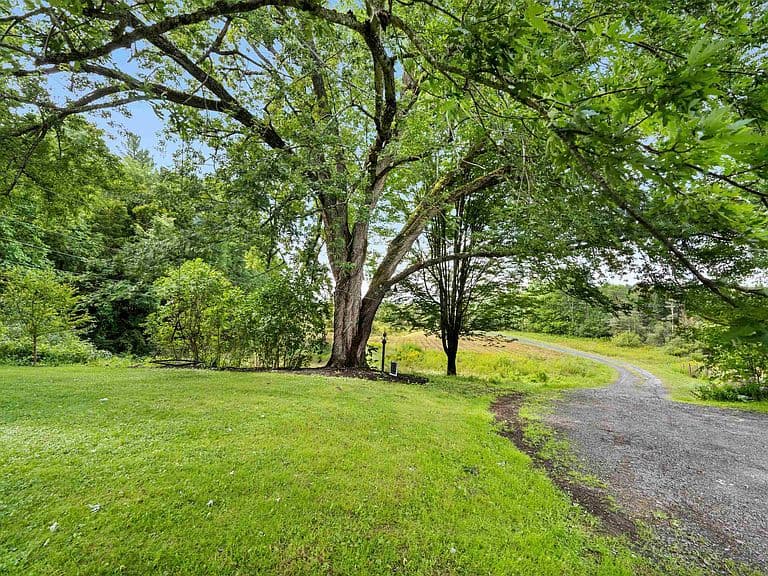 110 Perkins Road photo 5