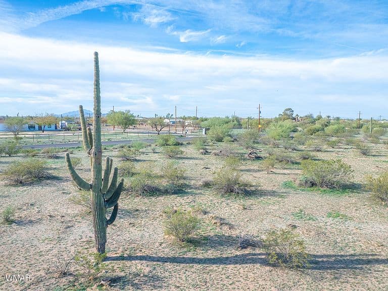 E Cactus Forest Rd photo 4