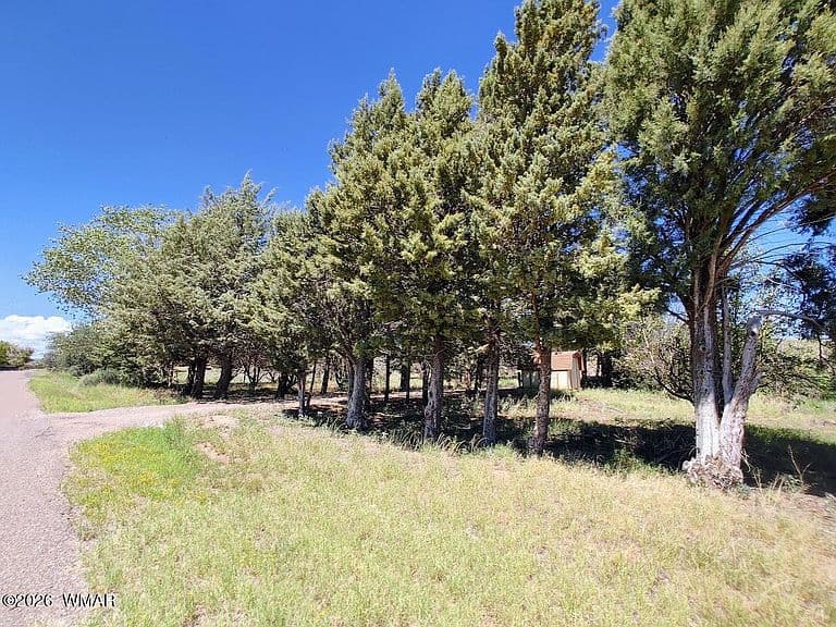 5292 W Cottonwood Dr photo 3