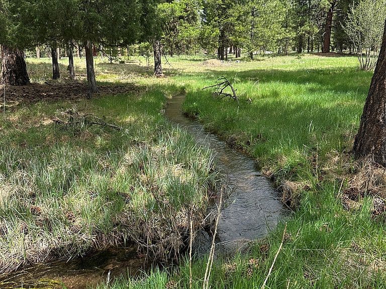 170 Drew Creek Loop photo 3