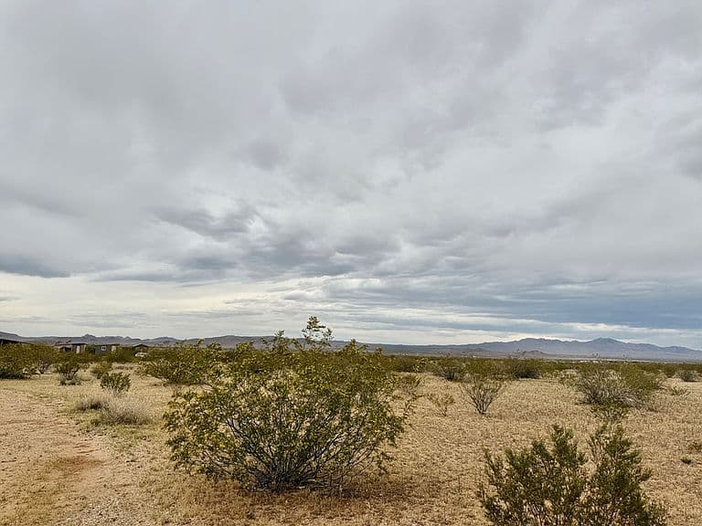 10757 N Sacramento Lane photo 3