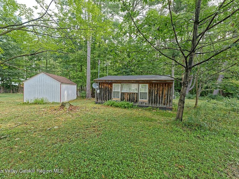 331 Battenkill Evergreens photo 4