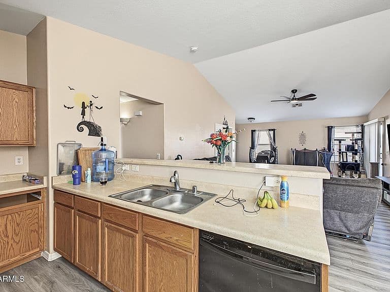 24319 N OASIS Boulevard photo 5