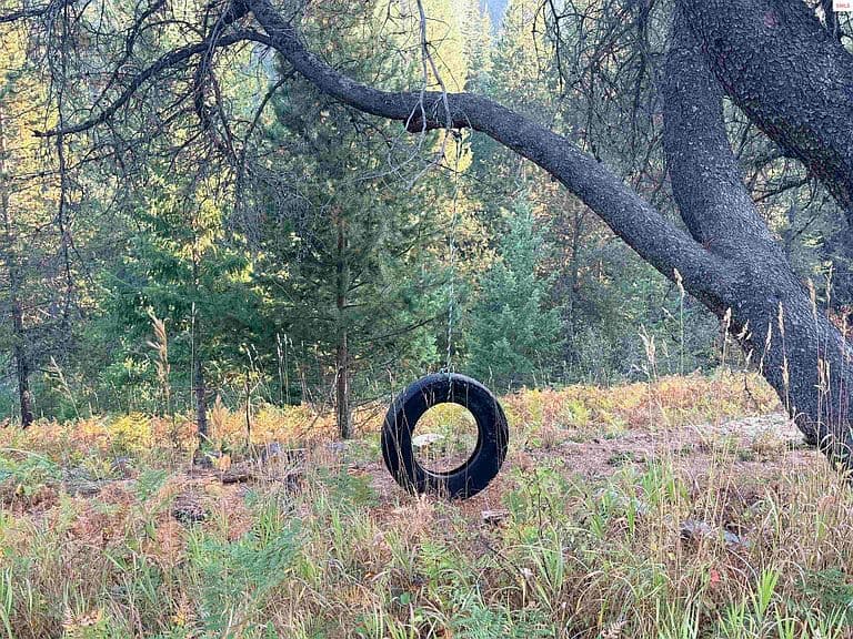 517 Sitting Bull Rd photo 4