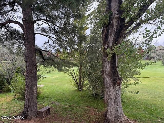 1200 N 36th Dr photo 5