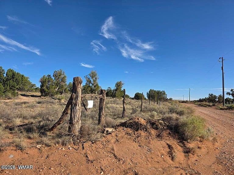3736 Bum Heel Ranch Rd photo 5
