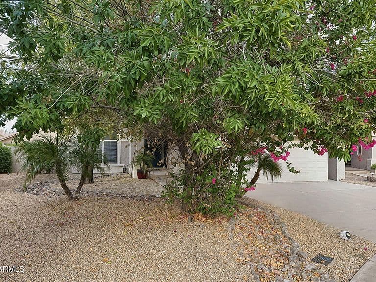 176 W CALLE MONTE Vista photo 3