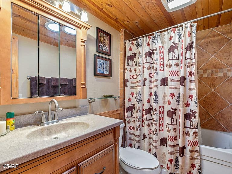 571 W Pine Shadow Dr photo 5