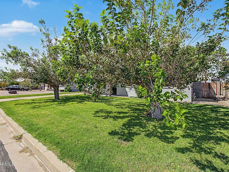 1862 W 5TH Street photo 3